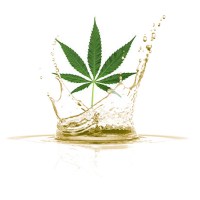 Έλαιο Κάνναβης